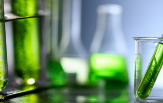 Futura Science Microalgues