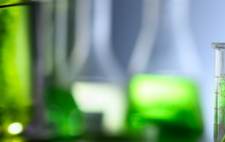 Futura Science Microalgues