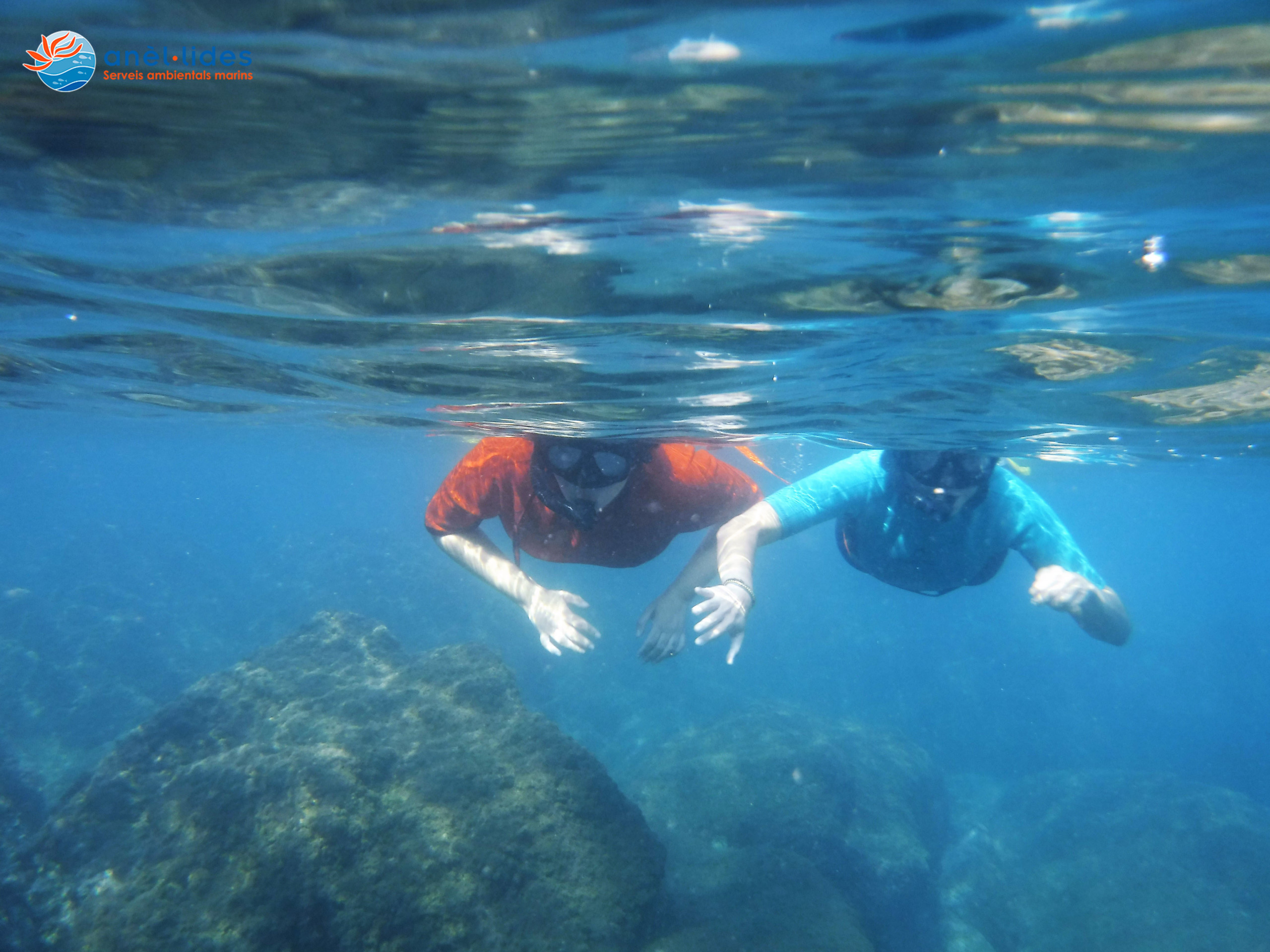 snorkelling-barcelona