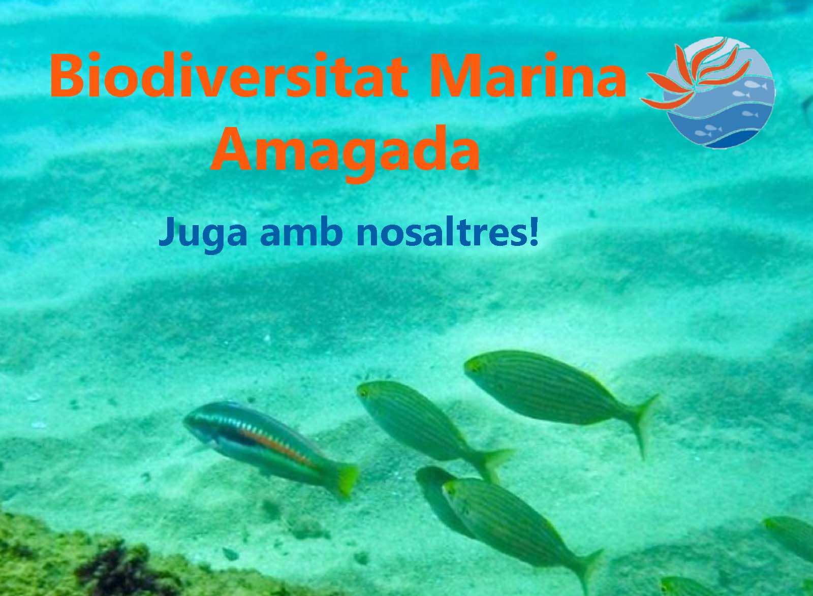 biodiversitat-marina-amg