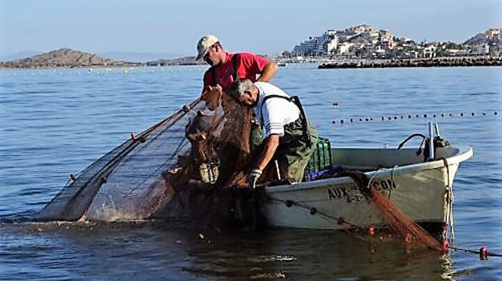 Qu Tipos De Pesca Hay Anellides