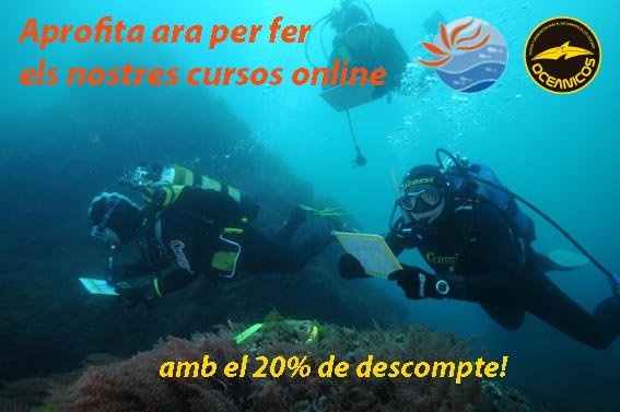 cursos-online