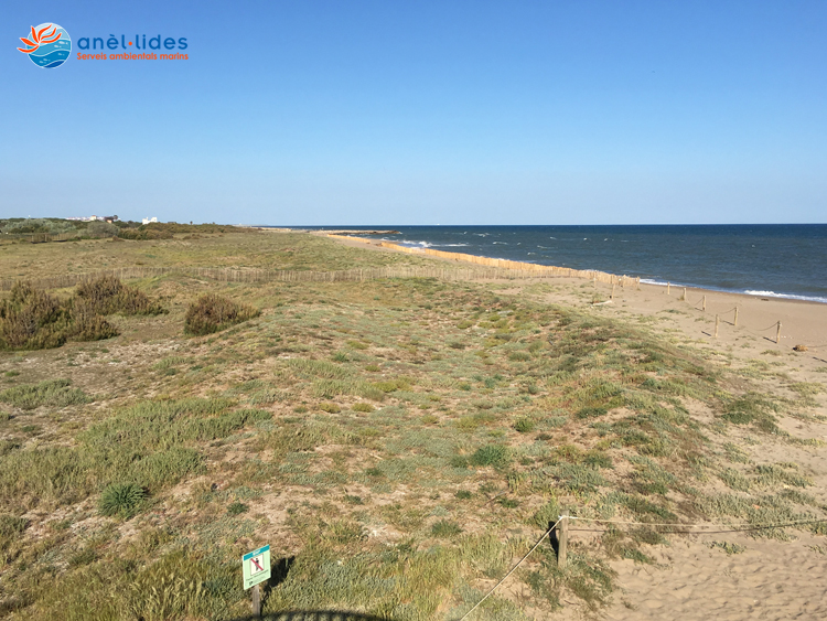 descoberta-de-les-dunes-viladecans