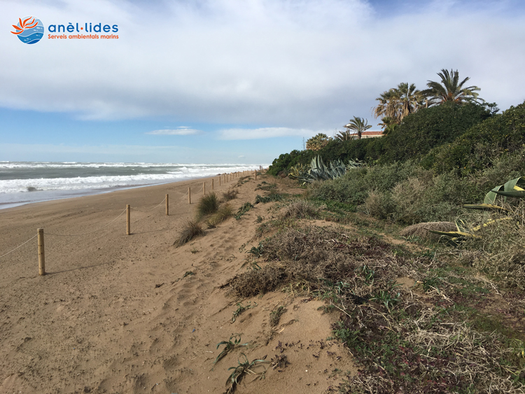 descoberta-dunes-gava