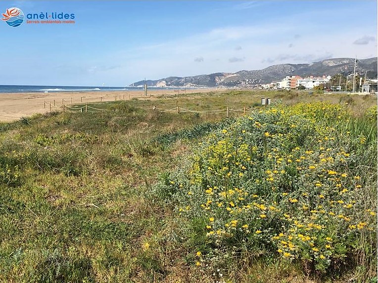 dunes-castelldefels