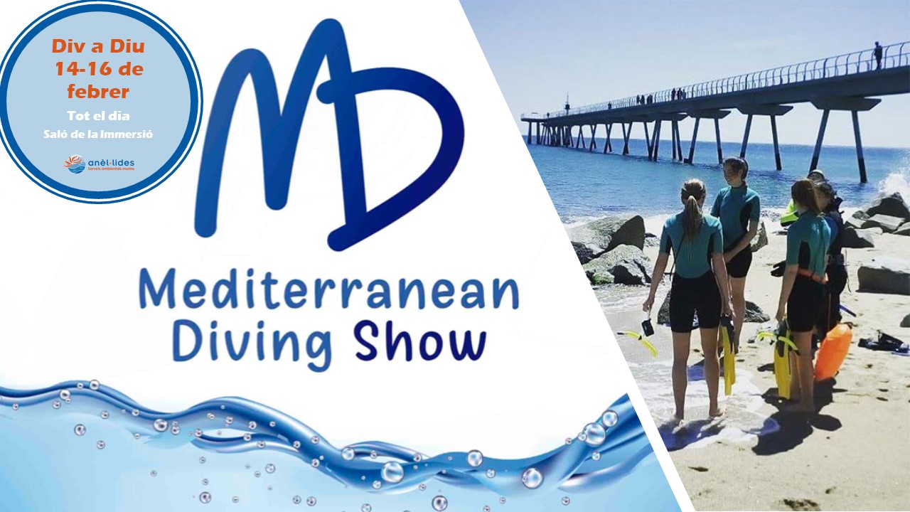 mediterranean-diving-show