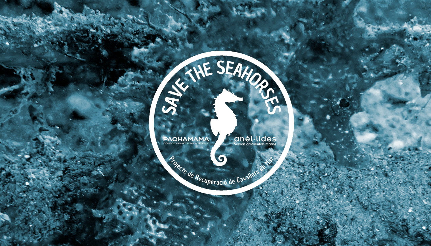 save-the-sea-horses