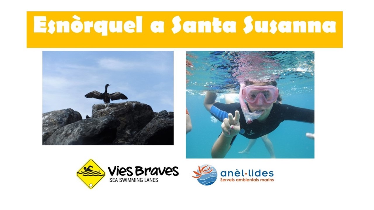 snorkel-santa-susanna